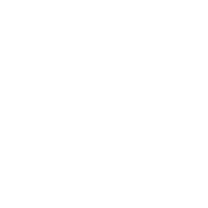 ClientLogo_Rossmonster